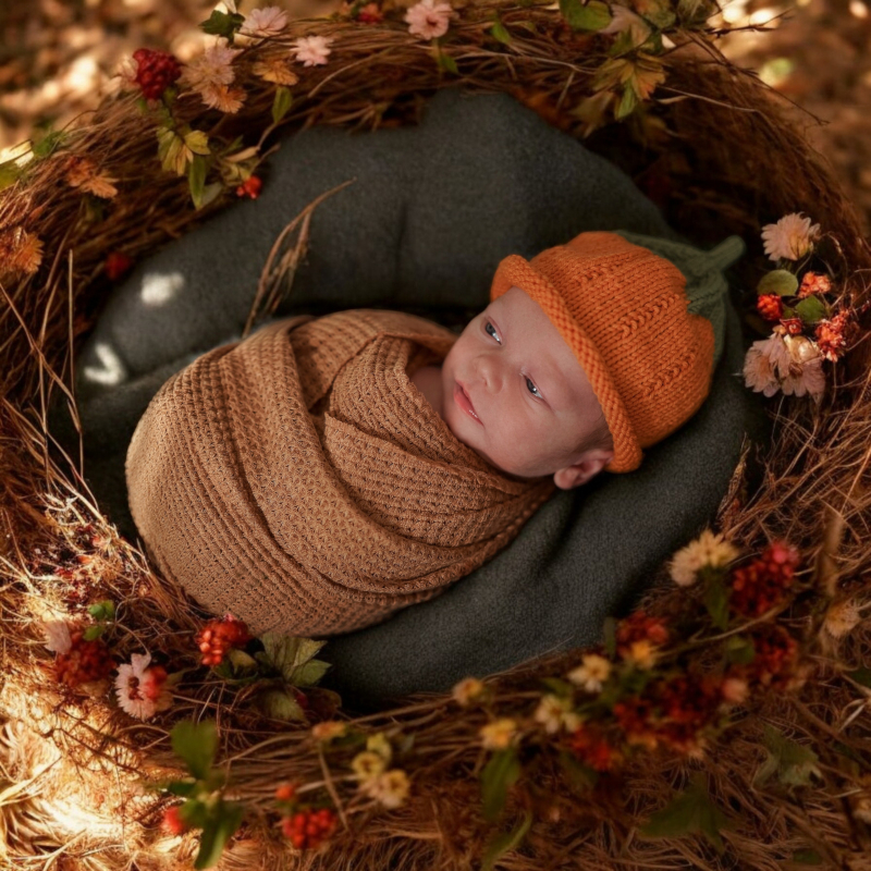 merino cepice ovoce zelenina zapletene pribehy milena musilova